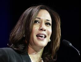 Biden designa a Harris para gestión en la frontera con México