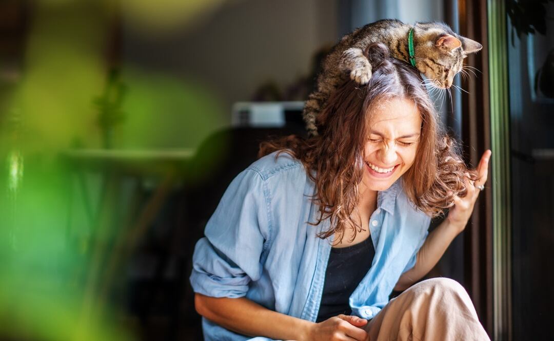 Beneficios de tener un gato. Foto: iStock-Olezzo