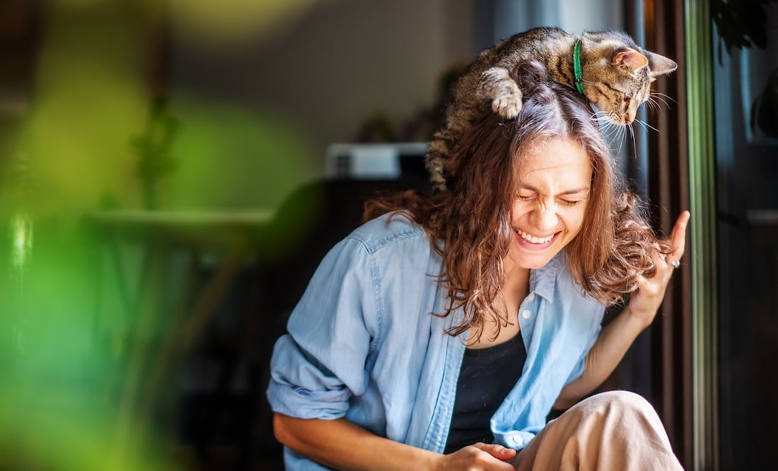Beneficios de tener un gato. Foto: iStock-Olezzo
