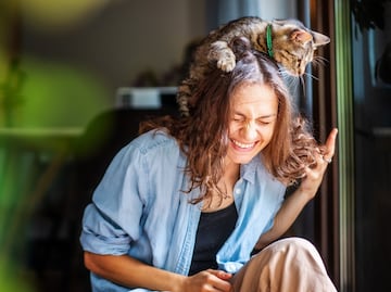 Mejor presión arterial y menos depresión; los beneficios de tener un gato en casa