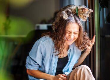 Mejor presión arterial y menos depresión; los beneficios de tener un gato en casa