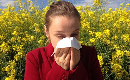 Alergia al polen: ¿qué la causa y cómo reducirla, según Harvard?