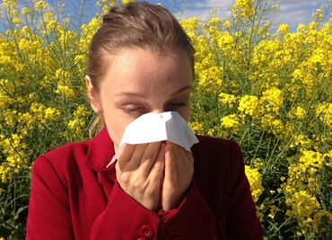 Alergia al polen: ¿qué la causa y cómo reducirla, según Harvard?