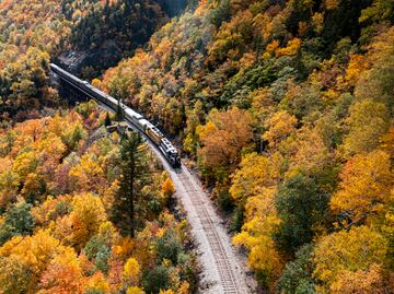 Fall Train: El mejor viaje en tren para ver los paisajes de otoño en Estados Unidos