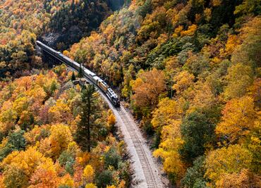 Fall Train: El mejor viaje en tren para ver los paisajes de otoño en Estados Unidos