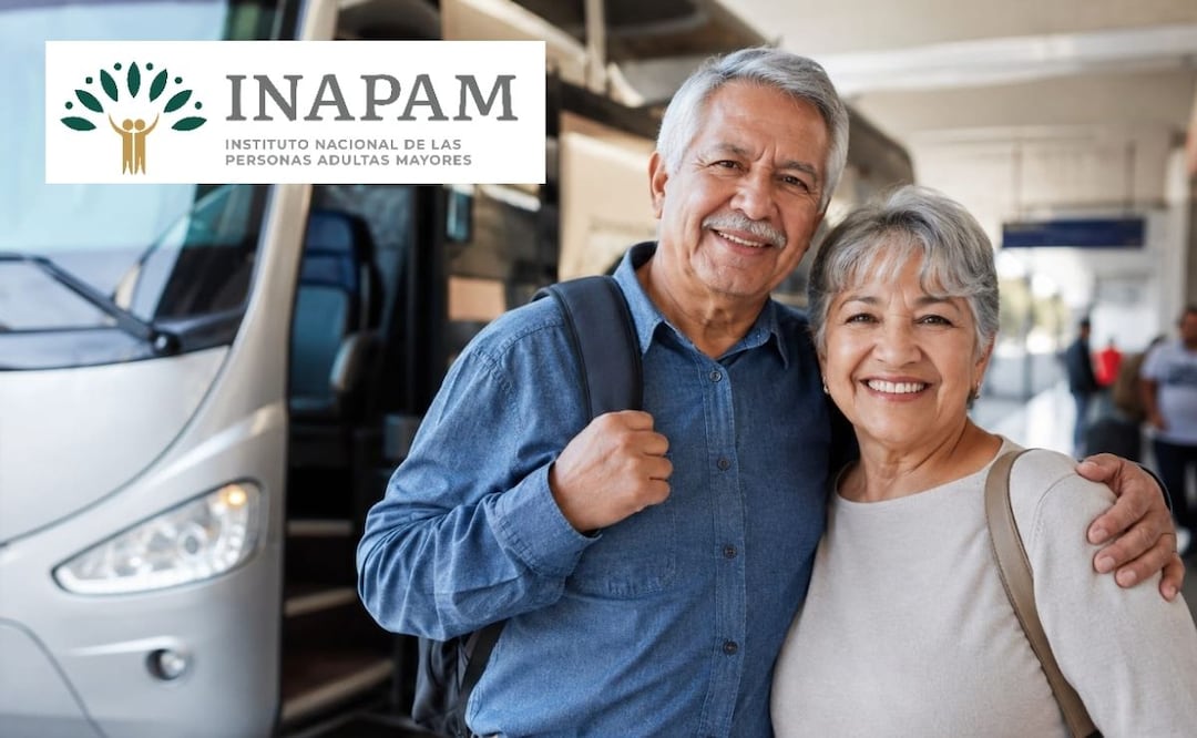 INAPAM 2026: ¿Cómo obtener 50% de descuento al viajar en ADO, ETN y Primera Plus? Foto: Especial / INAPAM