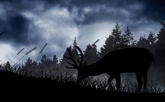 Luna de Ciervo 2024. ¿Por qué se llama así? ¿Cuándo y a qué hora se verá en México?