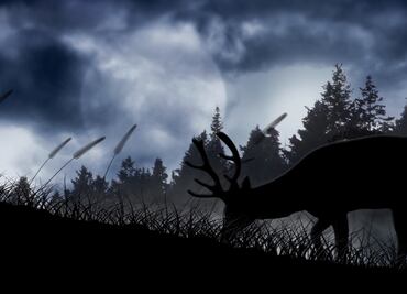 Luna de Ciervo 2024. ¿Por qué se llama así? ¿Cuándo y a qué hora se verá en México?