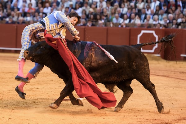Imágenes fuertes: así fue la brutal cornada a Andrés Roca Rey en Sevilla. VIDEO