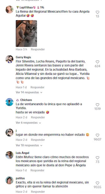 Foto: Captura de pantalla TikTok