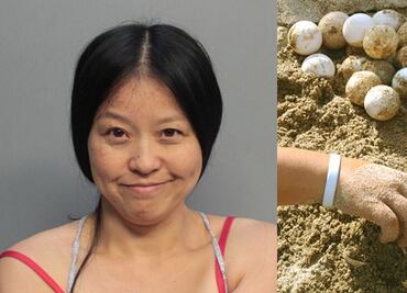 Arrestan a mujer por 'pisotear nidos de tortugas' en Florida