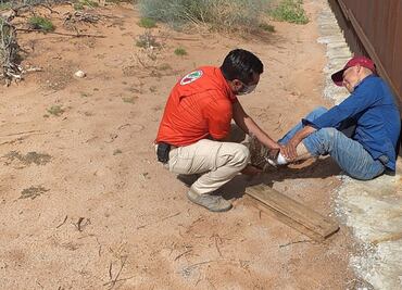 Hallan a migrante que cayó del muro de EU; llevaba tres días lesionado