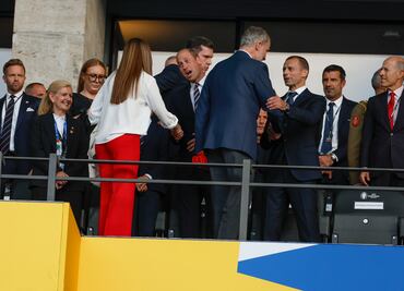 El rey Felipe VI y el príncipe William asisten a la final de la Eurocopa