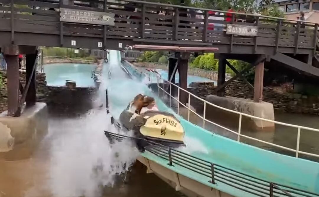 Foto: captura de pantalla