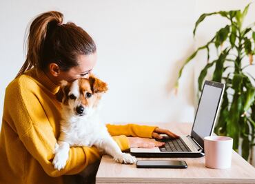 Día Mundial de Llevar al Perro al Trabajo. ¿Cuándo es, por qué se celebra y cuáles son los beneficios?