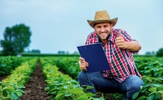 Buscan trabajadores agrícolas y jornaleros para laborar por temporadas en Florida (requisitos)