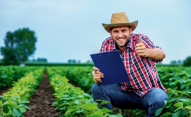 Buscan trabajadores agrícolas y jornaleros para laborar por temporadas en Florida (requisitos)