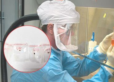 ¡Alerta por agroterrorismo! EU acusa a dos chinos por ingresar hongo tóxico ¿Qué tan letal puede ser?