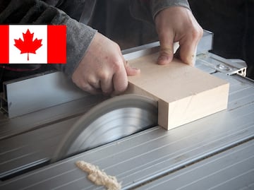 Fábrica de Canadá busca cortadores de madera y contratará a mexicanos