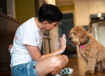 ¿Cómo entrenar a tu cachorro para ir al baño dentro de casa? 5 tips infalibles para evitar accidentes