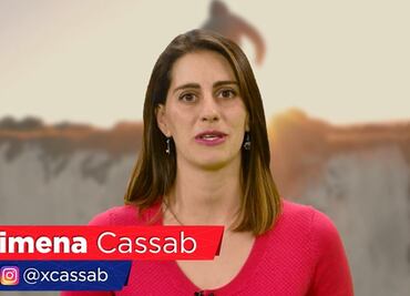 #TipsDeViaje. Cómo adaptarte a tu nueva vida en el extranjero