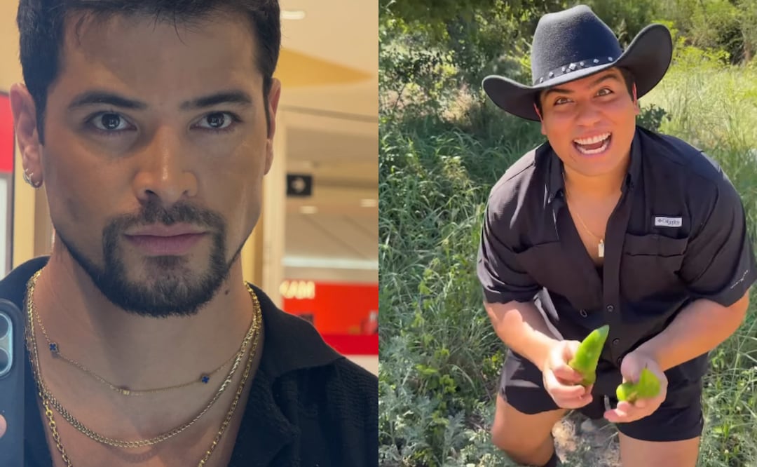 ¿Quién salió de La Casa de los Famosos México y MasterChef México? Estos son los eliminados. Foto: IG
