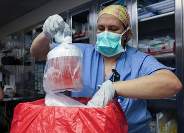 Paciente de 62 años recibe un riñón de cerdo en un innovador trasplante en Boston