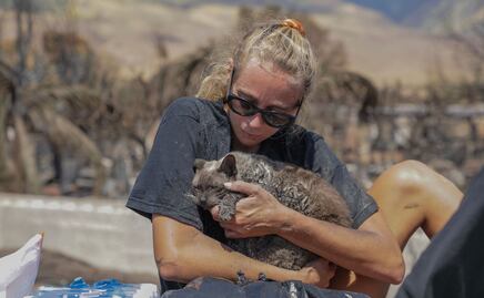 Ya son 96 los muertos en Maui y se busca a cientos de desaparecidos