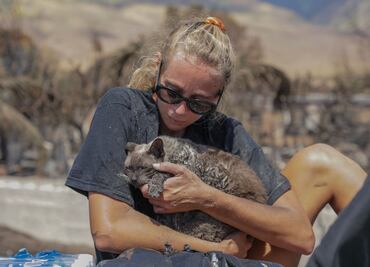 Ya son 96 los muertos en Maui y se busca a cientos de desaparecidos