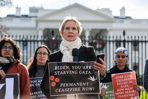 Cynthia Nixon, de "Sex and the City", en huelga de hambre; pide el alto el fuego en Gaza. VIDEO