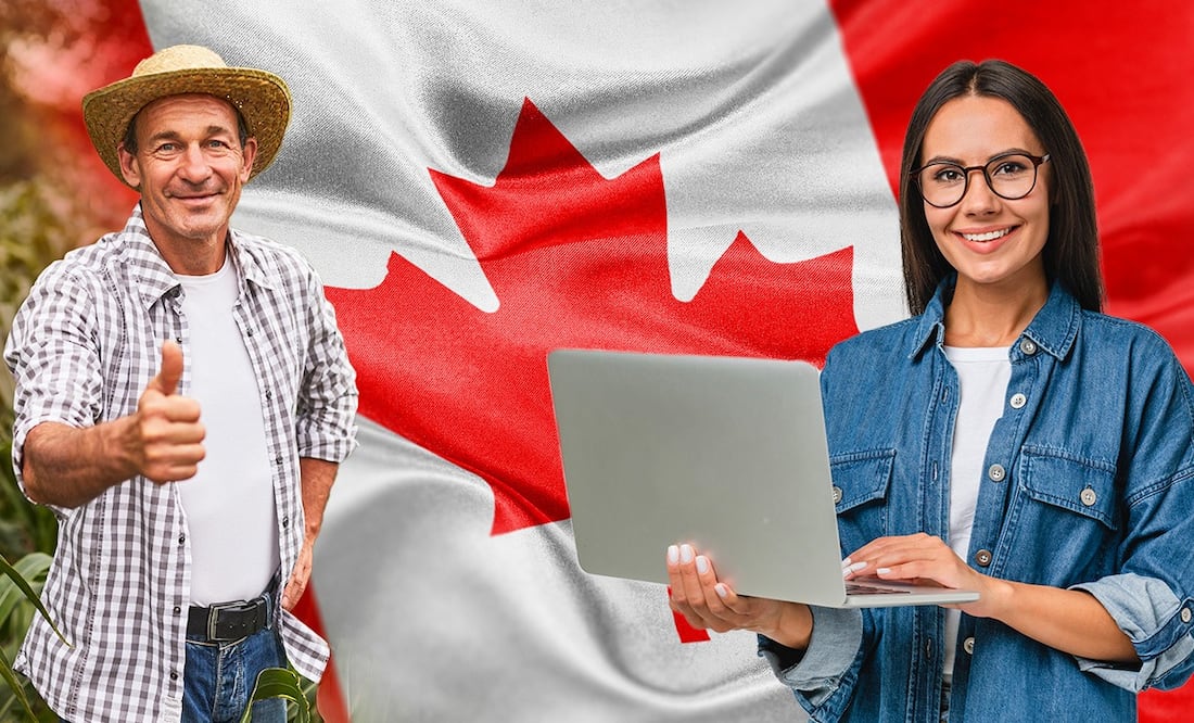 iStock/ Inside Creative House/ max-kegfire/ husayno/ 10 programas migratorios que te llevan a trabajar y a vivir en Canadá