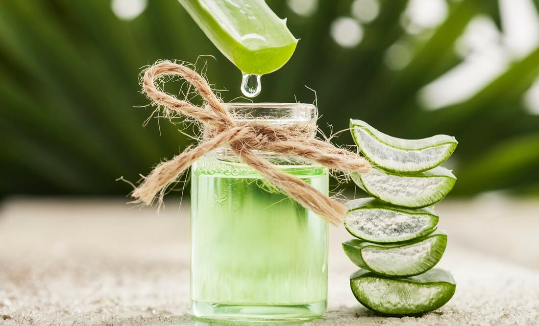 Previene la diabetes y alivia el estreñimiento con el jugo de aloe vera. Foto: iStock-Kameliq