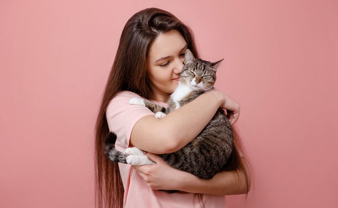Tips para mejorar la relación con tu gato. Foto: iSTOCK/Denis Valakhanovich