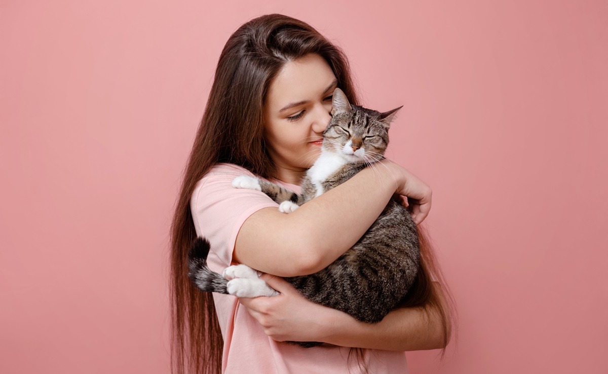 Tips para mejorar la relación con tu gato. Foto: iSTOCK/Denis Valakhanovich