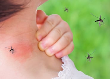 Ciudad impone confinamiento por preocupaciones de una infección “incurable” por mosquitos