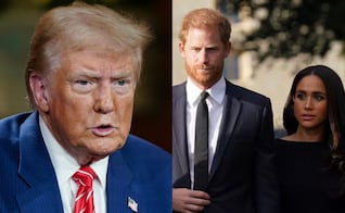 Donald Trump puede tocarlo: revelan por qué Harry no puede ser deportado