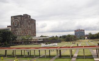 UNAM toma medidas contra supuesta plaga de chinches; algunos planteles suspenderán clases