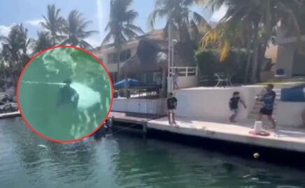 Captan a turistas pescando una mantarraya, especie protegida, en puerto de Playa del Carmen