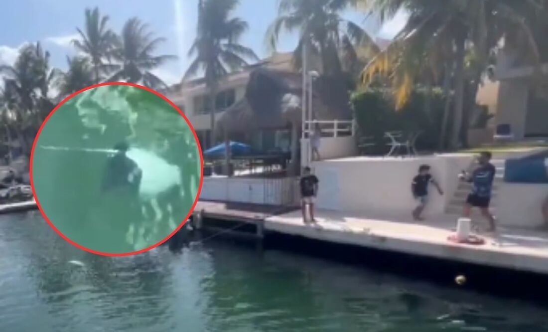 Turistas son grabados pescando mantarraya protegida en Puerto Aventuras, Playa del Carmen | Imágenes: 'X' @PlayaRiviera