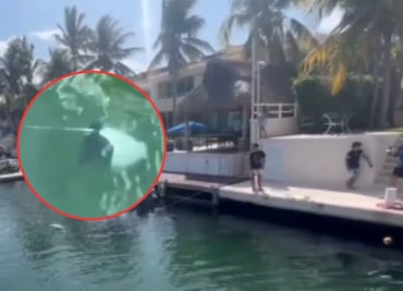 Captan a turistas pescando una mantarraya, especie protegida, en puerto de Playa del Carmen