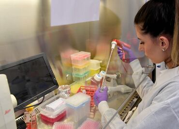 Detectan un virus de murciélago similar al Covid que puede entrar en células humanas