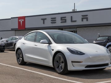 Conductor estrella su Tesla en un canal; testigo se lanza al agua y evita tragedia en Florida. VIDEO