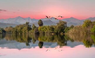 ¿A qué países de África puedo viajar sólo con mi pasaporte mexicano?