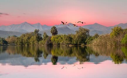 ¿A qué países de África puedo viajar sólo con mi pasaporte mexicano?