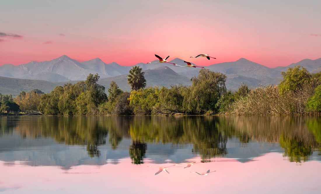 La mayoría de los países africanos piden visa a los mexicanos. Foto: iStock/Arnold Petersen