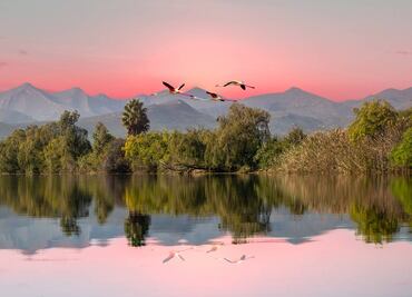 ¿A qué países de África puedo viajar sólo con mi pasaporte mexicano?