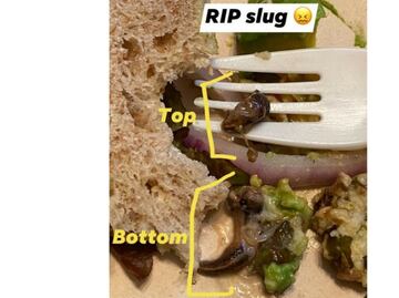 Mujer muerde una babosa con parásitos en un sándwich empaquetado