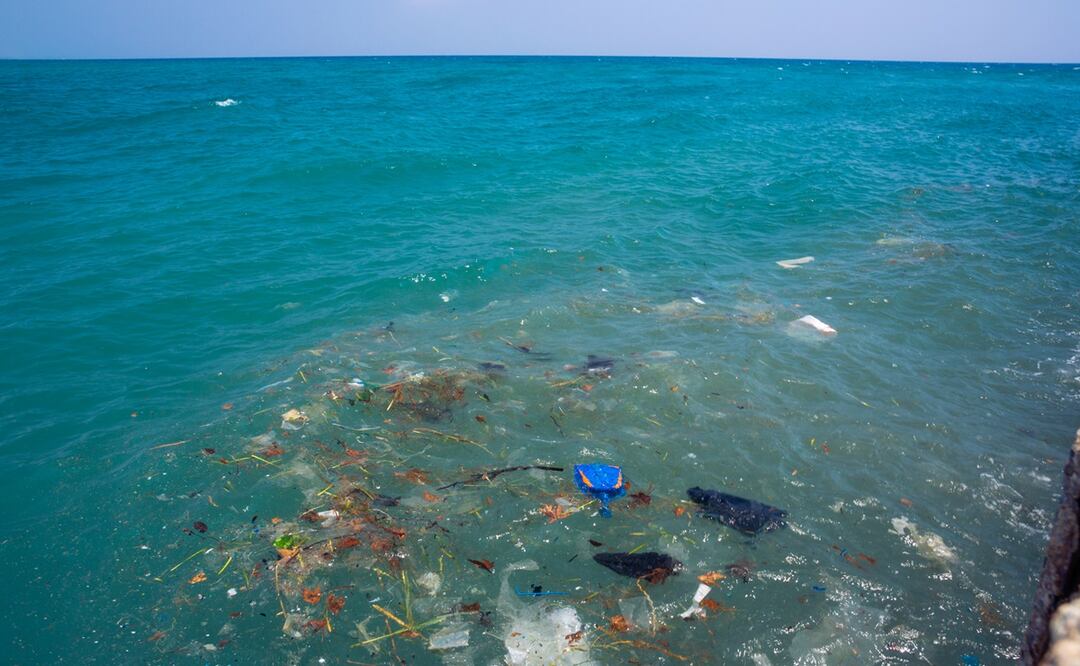 Un millón de toneladas de aditivos plásticos contaminan el mar cada año: estudio. Foto:  iStock-Vladyslav Havrylov