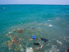 Un millón de toneladas de aditivos plásticos contaminan el mar cada año: estudio