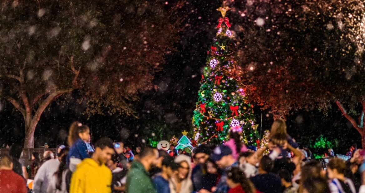 Vive una Navidad mágica en Disney World, Universal y más parques de Florida